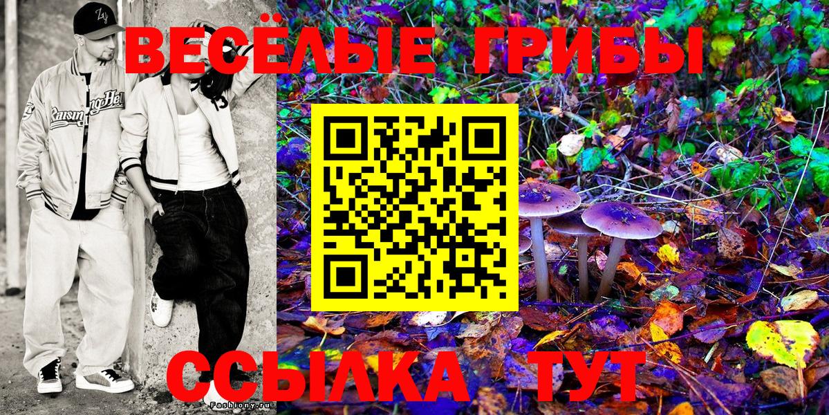 Галлюциногенные грибы GOLDEN TEACHER Североуральск